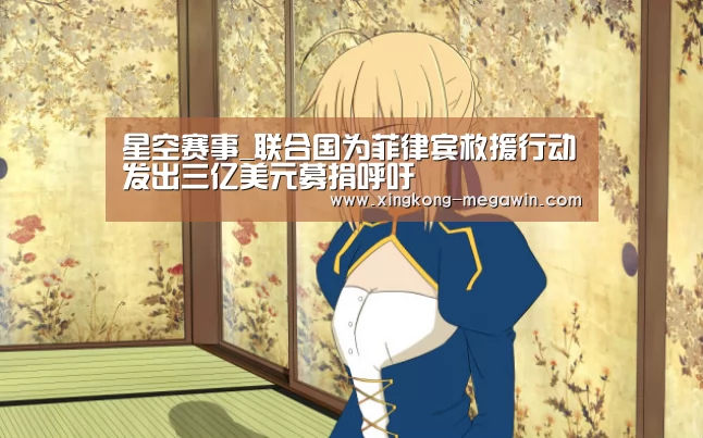 星空赛事_联合国为菲律宾救援行动发出三亿美元募捐呼吁(图4) 星空入口