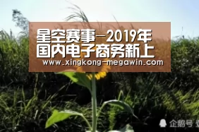 星空赛事-2019年国内电子商务新上市公司达17家 北上杭凭借地域资源优势占据76.47%的电商公司(图3) 星空赛事