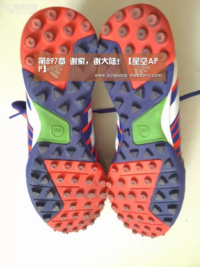 第897章 谢家,谢大陆!【星空APP】(图2) 星空官网