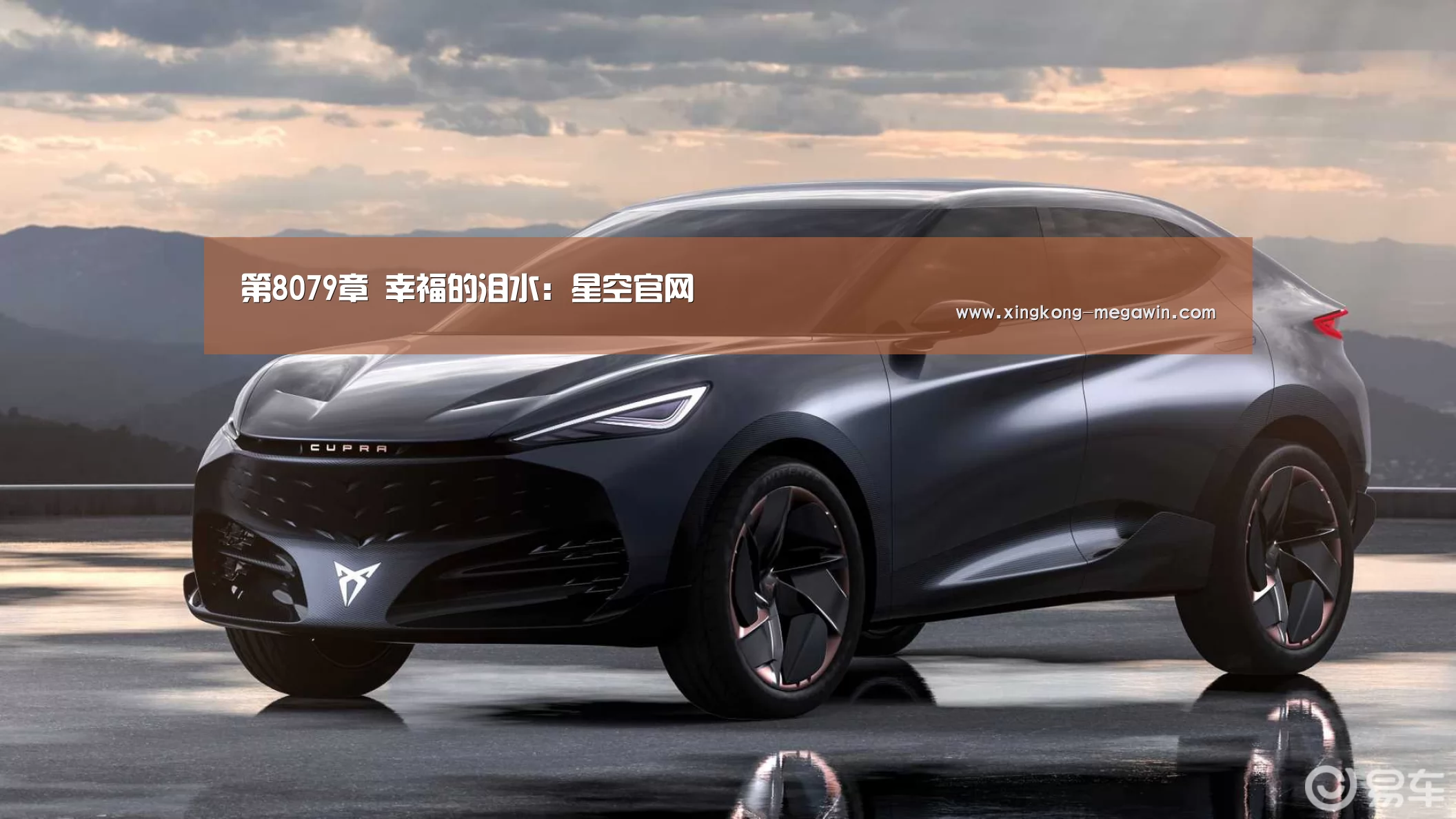 第8079章 幸福的泪水:星空官网(图1) 星空APP