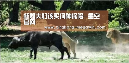 新婚夫妇该买何种保险-星空官网(图2) 星空APP