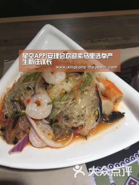星空APP|安理会欢迎索马里选举产生新任议长(图1) 星空赛事