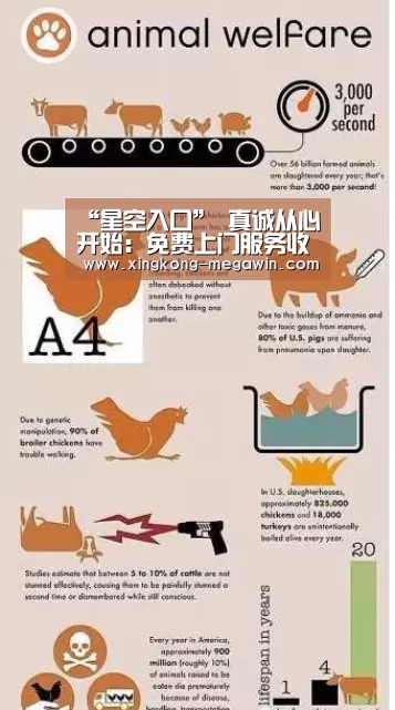 “星空入口”
真诚从心开始:免费上门服务收获一万个赞(图1) 星空官网