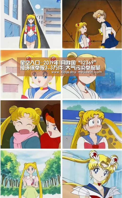 星空入口-2019年1月我国“12369”接环保举报3.3万件 大气污染举报量第一(图2) 星空官网