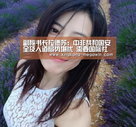 副秘书长拉德苏:中非共和国安全及人道局势堪忧 需要国际社会持续关注和支援‘星空赛事’(图2) 星空入口