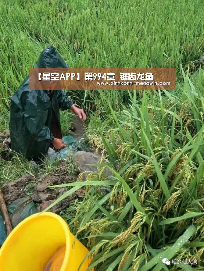 【星空APP】第994章 锯齿龙鱼(图3) 星空赛事