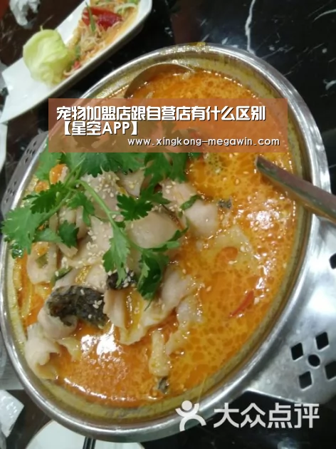 星空官网