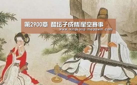星空入口