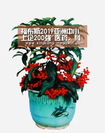 星空赛事