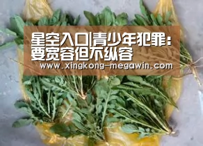 星空入口|青少年犯罪:要宽容但不纵容(图3) 星空官网