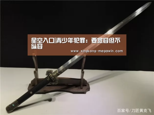 星空入口|青少年犯罪:要宽容但不纵容(图2) 星空官网